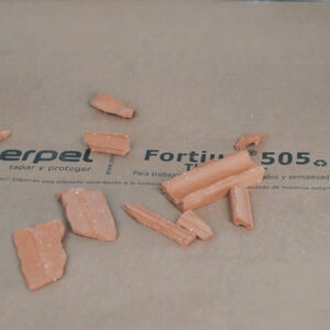 Fortium 505 The Power